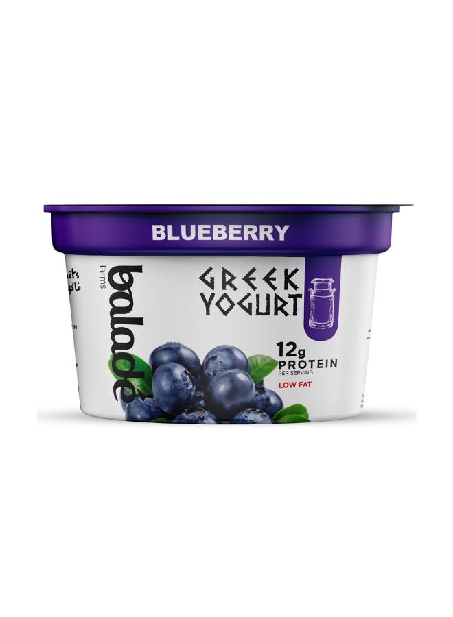 Blueberry Low Fat Greek Yogurt