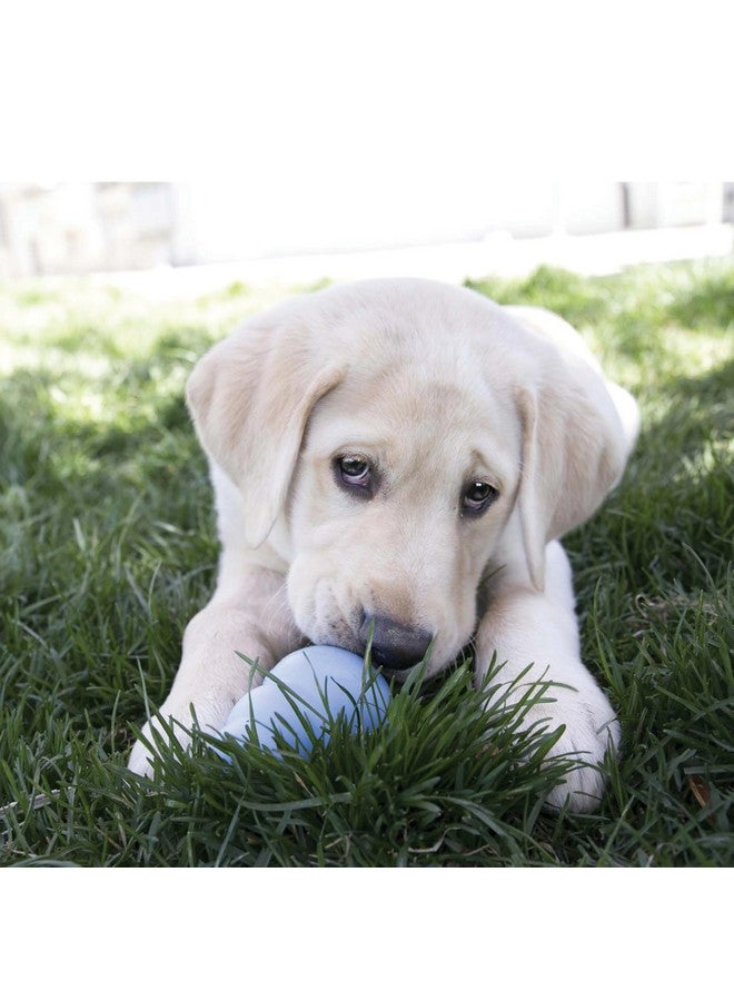 كونج مجموعة كونج إيزي تريت مع وجبة خفيفة، 14 أونصة، للجراء - كبير - Image 2