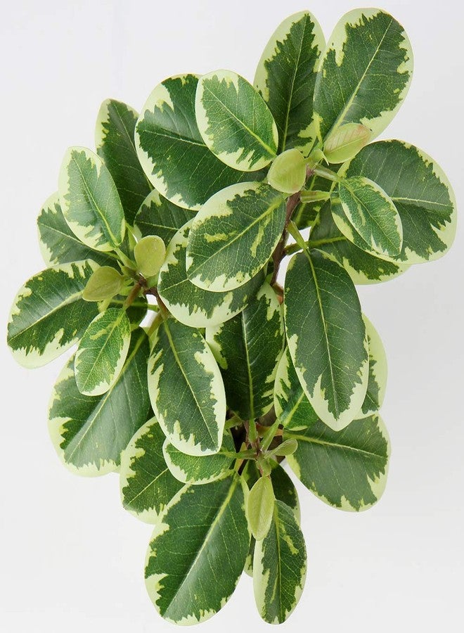 Briful Artificial Plants Mini Camellia Potted Fake Plants Small Faux Plastic Plants Desk Plant Artificial Flowers with Vase for Home Office Desk Kitchen Garden Indoor Decor - Image 5