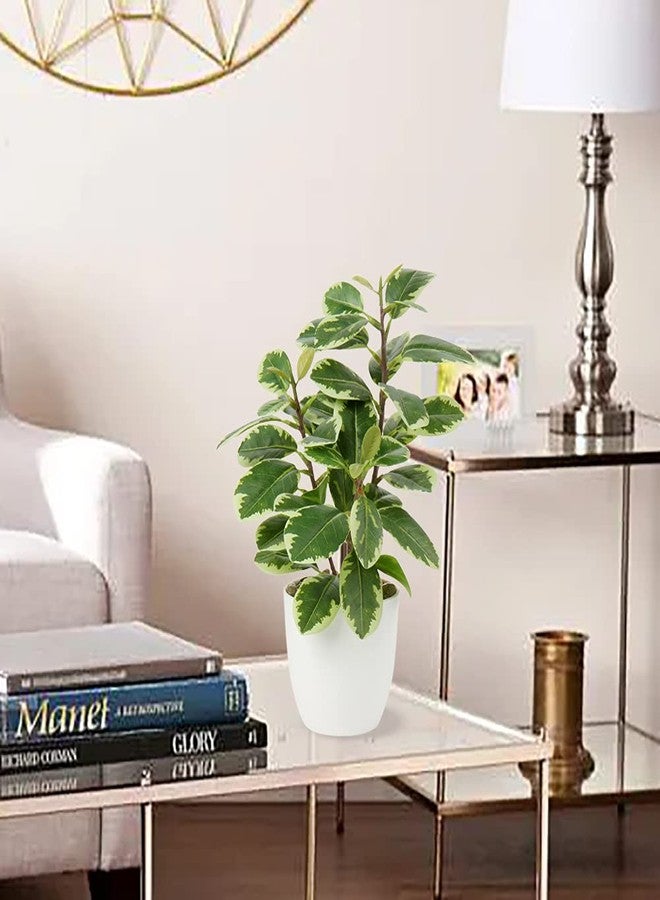Briful Artificial Plants Mini Camellia Potted Fake Plants Small Faux Plastic Plants Desk Plant Artificial Flowers with Vase for Home Office Desk Kitchen Garden Indoor Decor - Image 2