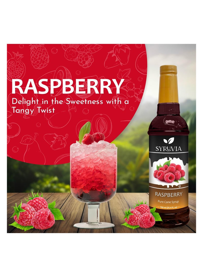 Syruvia Syruvia Raspberry Syrup - 750 ml  - Image 3