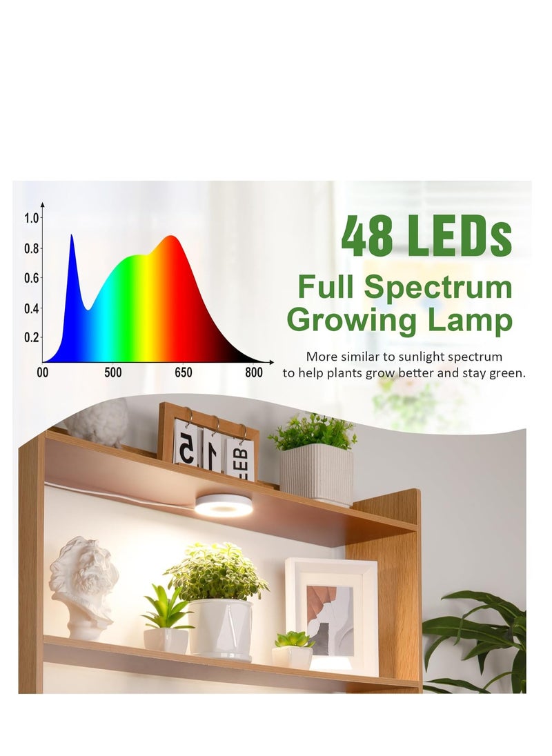 Generic Ceiling Grow Light for Indoor Plants, Full Spectrum LED Halo Plant Light,Automatic Timer 3/9/12H,4 Dimmable Brightness Levels,5V Safe Voltage Growing Lamp ,Ideal for Small Plants  - Image 4