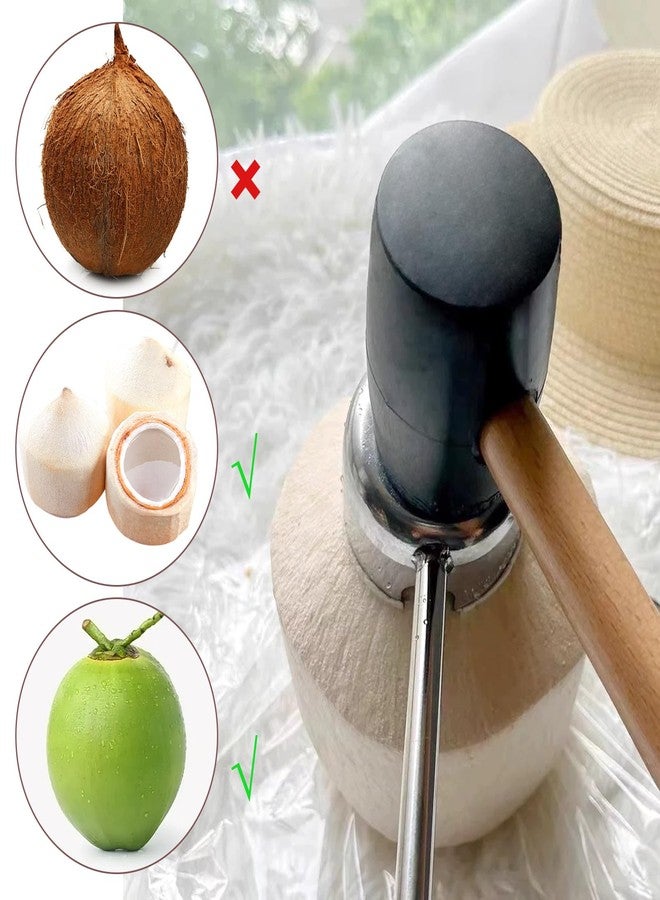 Zalaxt Coconut Opener Tool Set,Food Grade Coconut Opener,Coconut Scraper for Kitchens,Picnics and Beach Vacations - Image 4