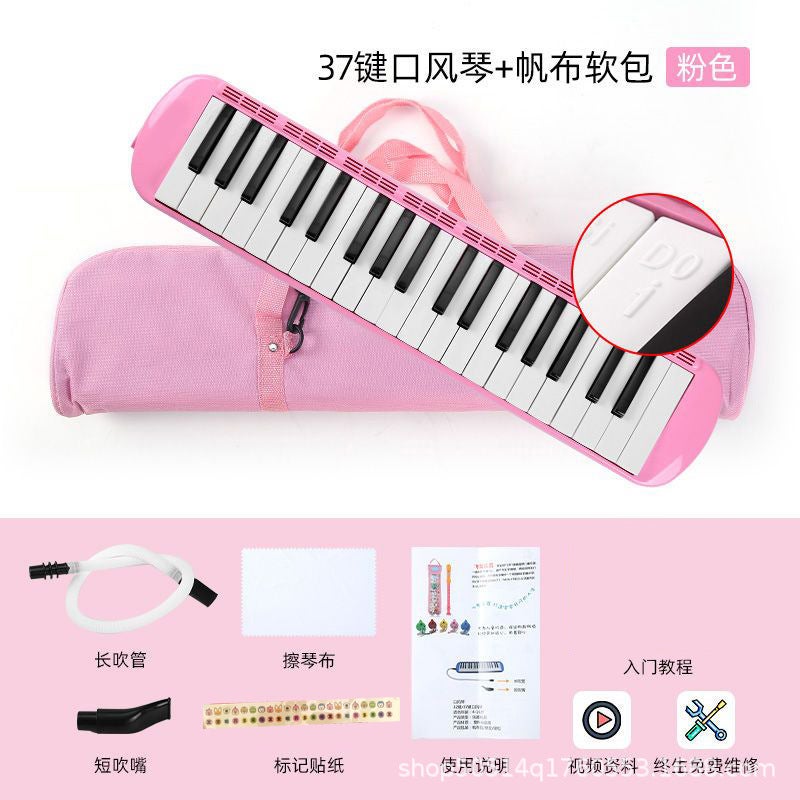 Generic Kids 32-Key Accordion with Oxford Bag37-key soft bag pink 37-key soft bag pink 