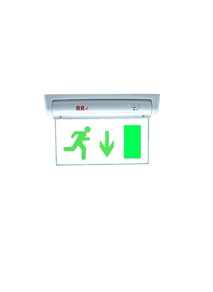 RR Exit Down Green Sign in Clear Light Board 230V with Battery Backup - RR  - Image 2