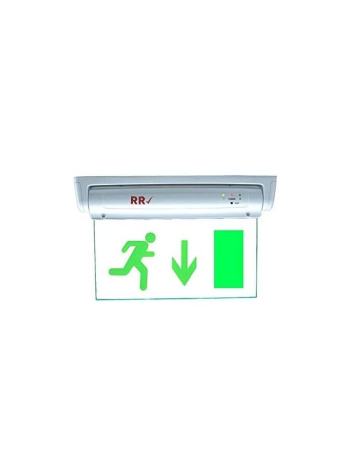 RR Exit Down Green Sign in Clear Light Board 230V with Battery Backup - RR  - Image 1