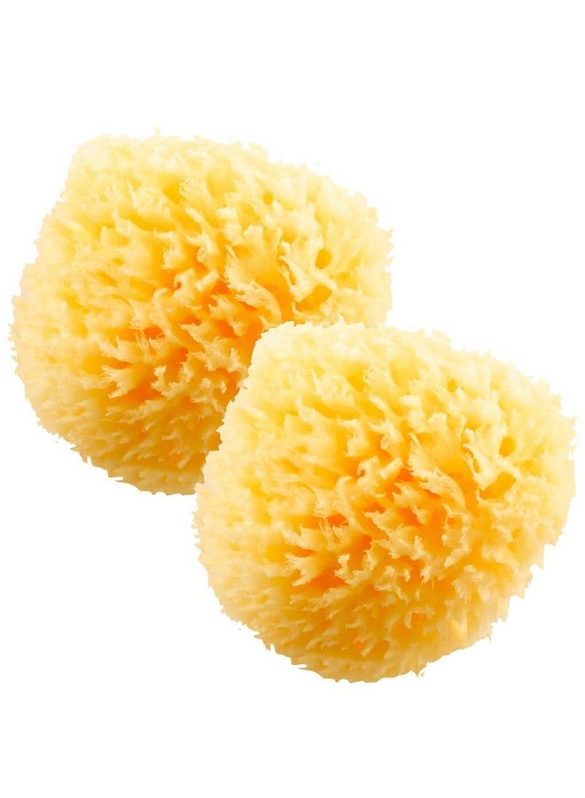 HartFelt Natural Bath Sponge 4In Ultra Soft Premium Sea Wool Sponge Soft On Tender Skin, Biodegradable, 2Pk - Image 1