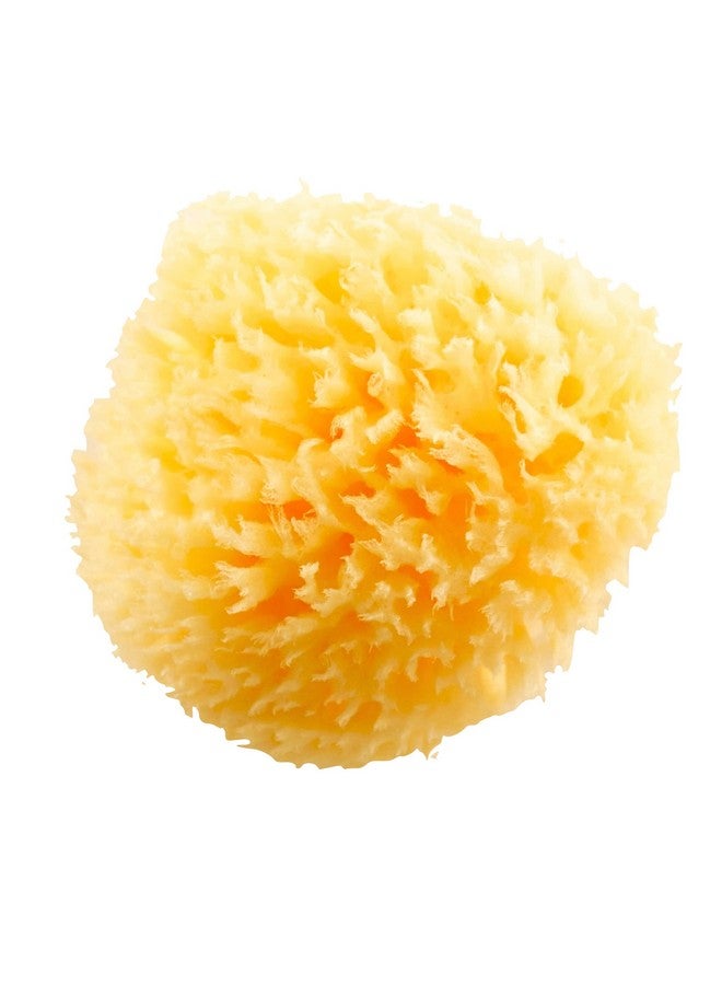 HartFelt Natural Bath Sponge 4In Ultra Soft Premium Sea Wool Sponge Soft On Tender Skin, Biodegradable, 2Pk - Image 2