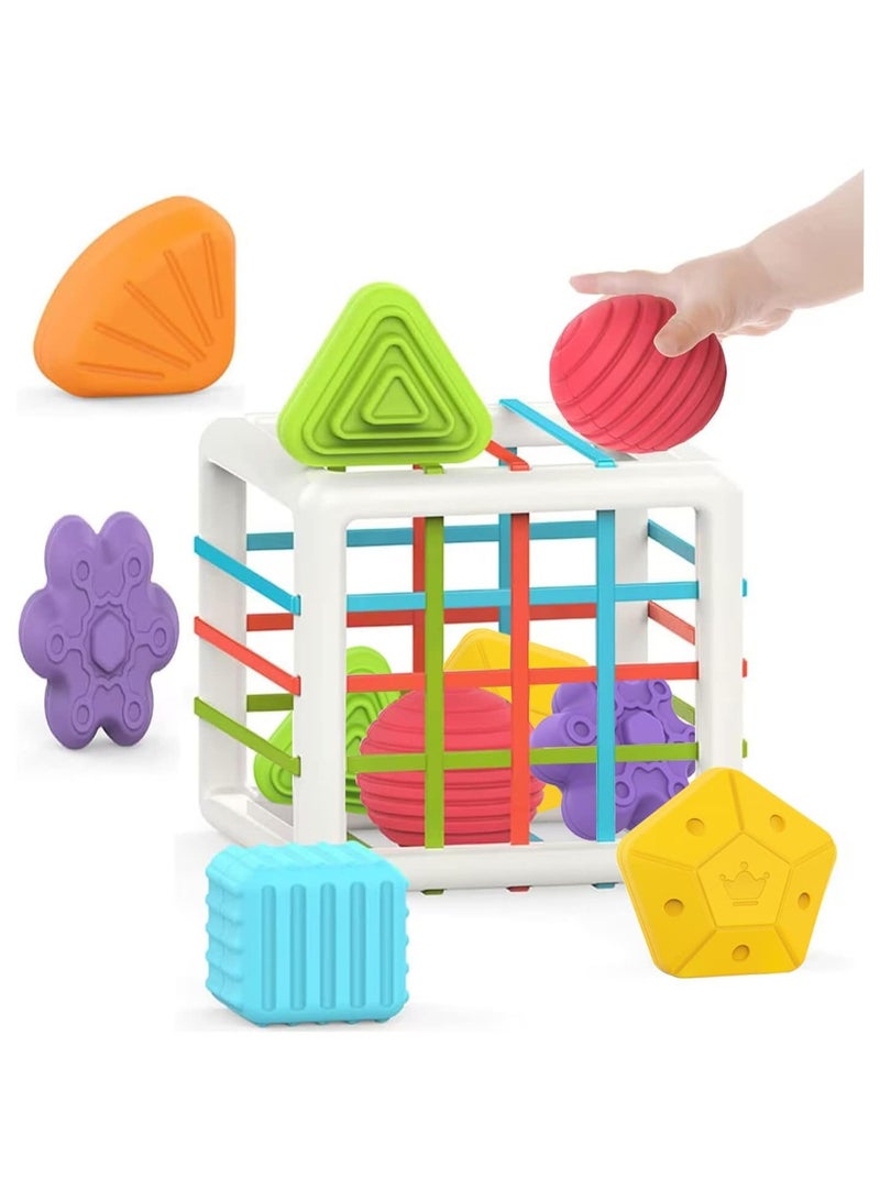 Toy Box Baby Sorter Toy 6pcs Multi Sensory Shape Toddler Developmental Learning Toys Birthday Gifts Baby Toys - Image 1