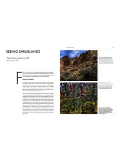 SHROUDED IN LIGHT: Naturalistic Planting Inspired by Wild Shrublands  - Image 4