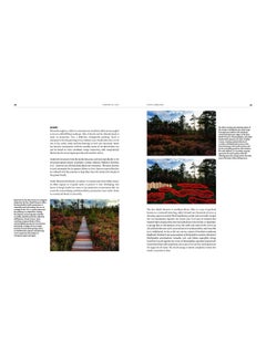 SHROUDED IN LIGHT: Naturalistic Planting Inspired by Wild Shrublands  - Image 5
