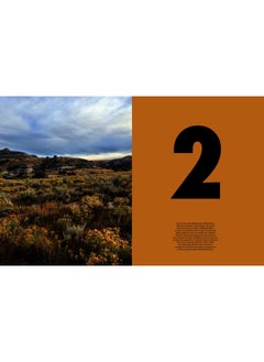 SHROUDED IN LIGHT: Naturalistic Planting Inspired by Wild Shrublands  - Image 3