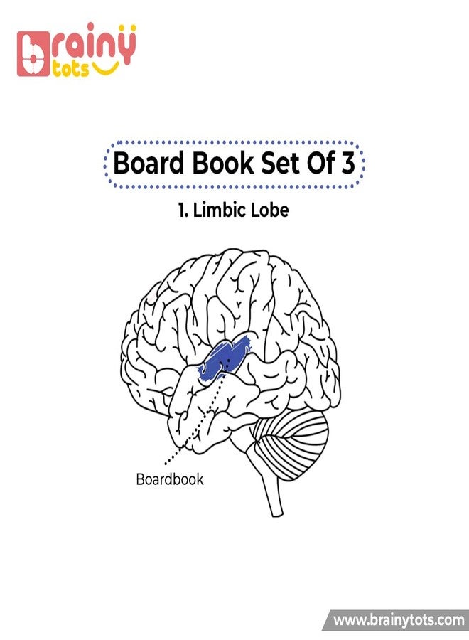 BrainyTots Board Books Set on 8 Topics | 5-Books Collection Featuring Animals, Birds, Fruits, Vegetables, Colors, Shapes, Alphabets & Numbers for Early Language Exploration - Image 5