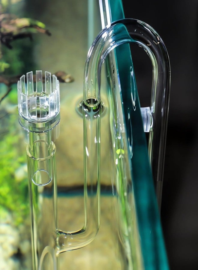 JARDLI Glass Lily Pipe Inflow with Surface Skimmer for Aquarium Planted Tank (13mm for 12/16mm (1/2'' i.d.) tubing) - Image 4