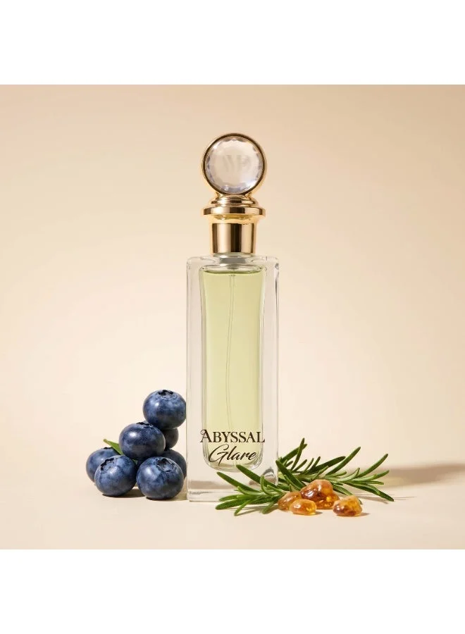AMD Perfumes Privilege Abyssal Glare By AMD Perfumes Men and Women Fragrance EDP 65ml
