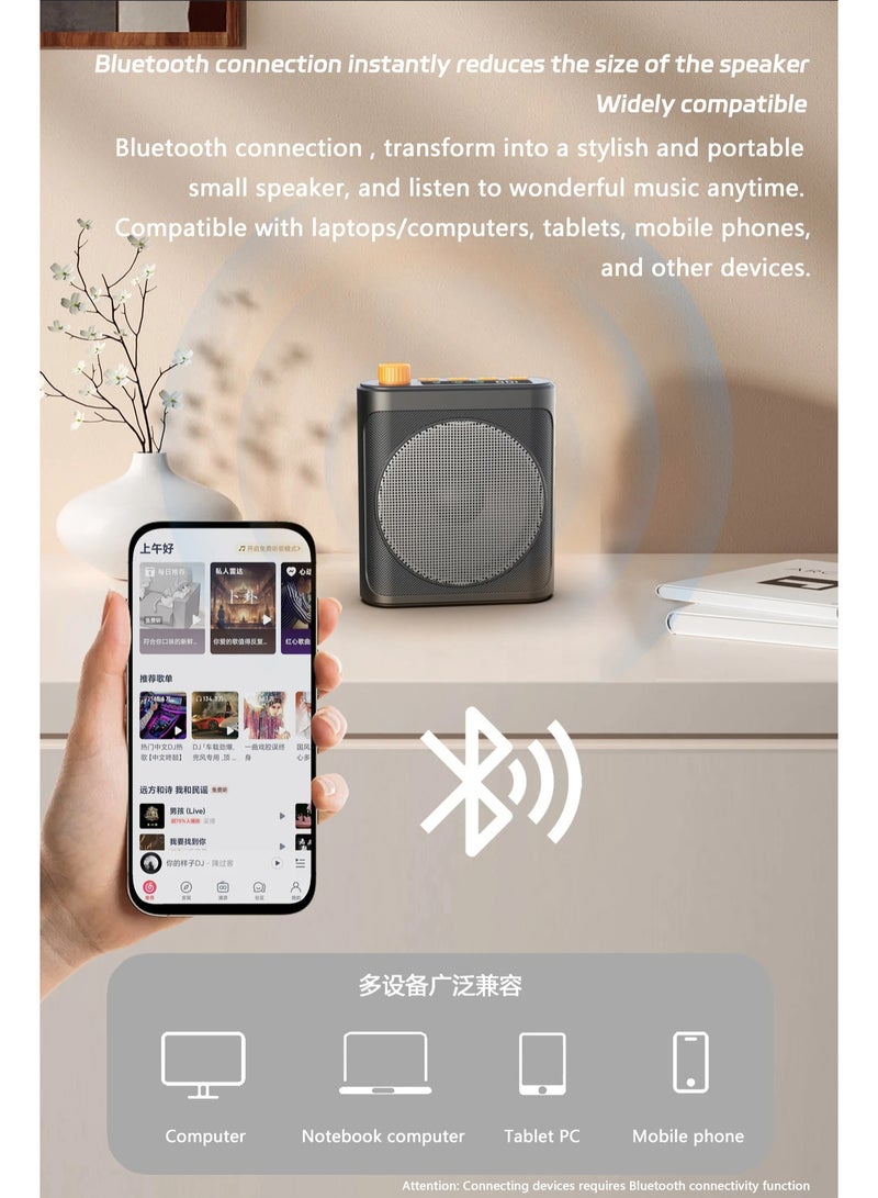 مكبر صوت محمول ZFSZ مع بلوتوث لاسلكي، نظام مكبر صوت صغير قابل لإعادة الشحن، شاشة LED ومقبض صوت، مع سماعة ميكروفون سلكية - Image 4