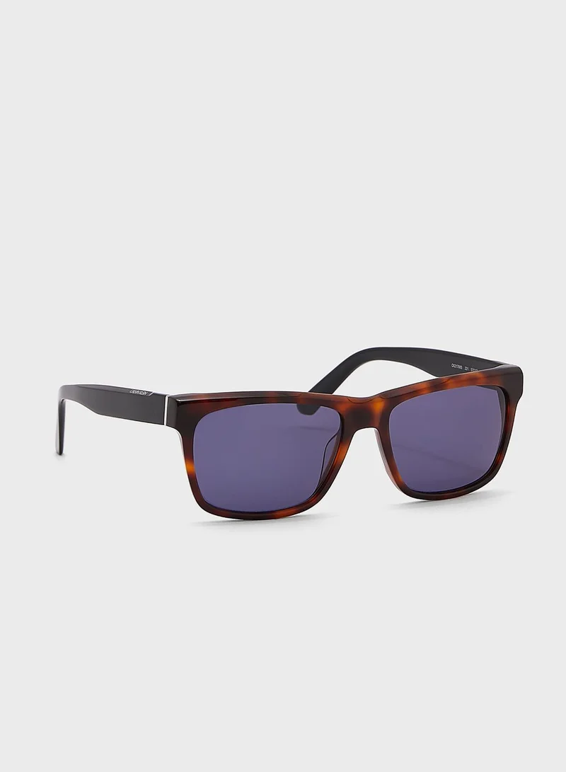 CALVIN KLEIN Wayfarers Sunglasses