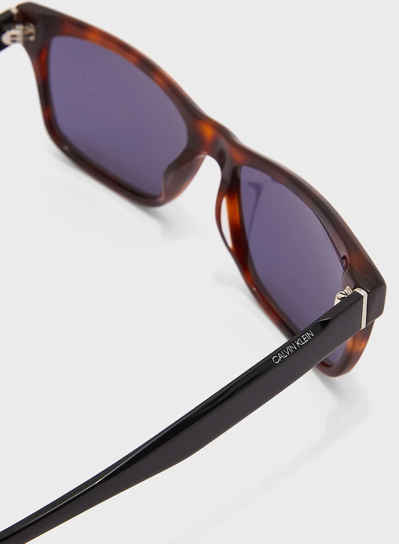 CALVIN KLEIN Wayfarers Sunglasses
