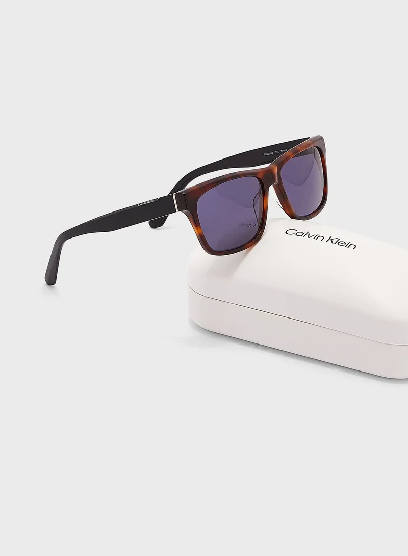 CALVIN KLEIN Wayfarers Sunglasses
