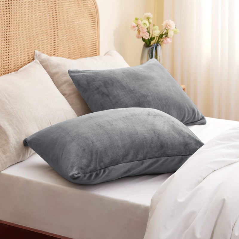 بيديليت حالات وسادة الفانيلا بيدليت مجموعة بحجم كوين من 2 غطاء علبة سادة ناعمة مع سحاب لأريكة غرفة نوم أريكة فاخرة دافئة دافئة وسادة مخملية خام - Image 2