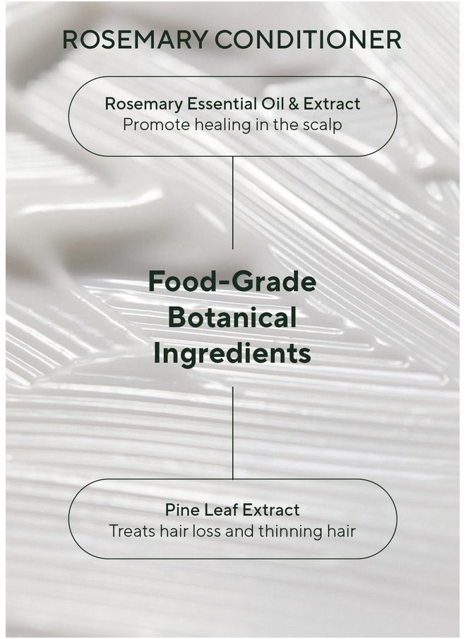 مجموعة شامبو وبلسم AROMATICA Rosemary Scalp Scalp 13.53 أونصة سائلة لكل منهما - مجموعة هدايا للعناية بالشعر النباتي بزيت إكليل الجبل. شامبو وبلسم خالي من الكبريتات لنمو الشعر - pzsku/Z06C11F1F54A29BC49EE8Z/45/_/1737031173/b2a8de24-e323-4c27-831b-66f52114aaca