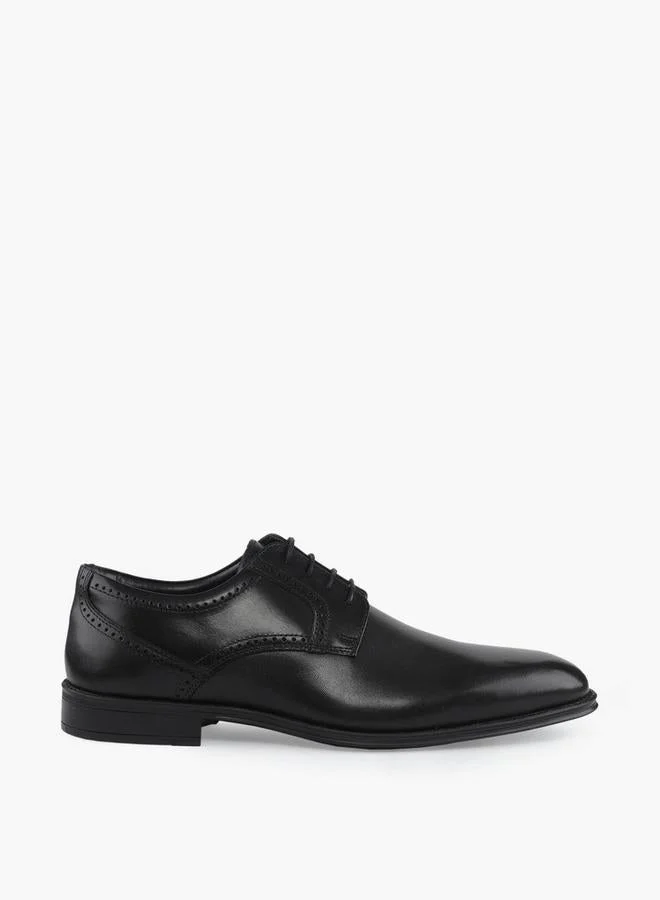 دوتشيني Men Leather Lace-Up Derby Shoes