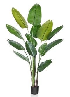 شجرة السائح