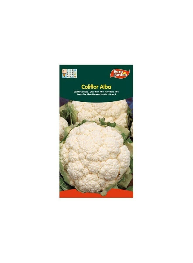 Euro Garden EG Cauliflower Seeds