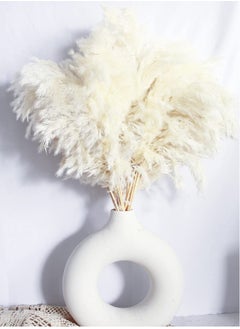 Generic White Pampas Grass for Home Decor Elegant Boho Decor Premium Quality Pampas Grass Stems Perfect for House Nursery Western Wedding Table and Bohemian Decor (20PCS)  - Image 1