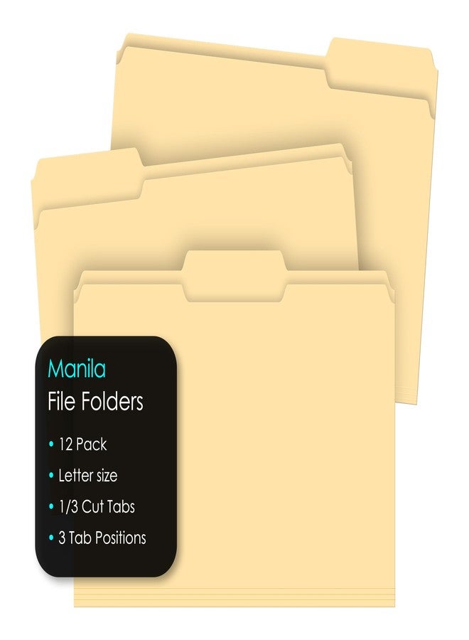 iScholar Manila File Folders, Letter Size, 12 Pack (31012) - Image 3