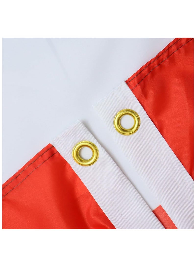 FLAG United Arab Emirates 3x5 ft Polyester UAE DUBAI s 3 x 5 Foot - Image 3