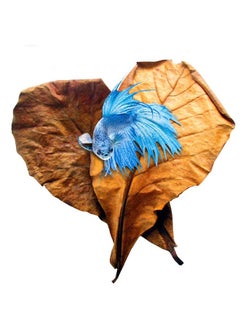 SunGrow SunGrow Betta Leaves, 8”, 10 Pcs Beneficial Large Catappa Indian Almond Leaves for Overall Development in Fish Tank Aquarium, Water Conditioner Leaves Lower pH  - Image 1