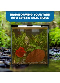 SunGrow SunGrow Betta Leaves, 8”, 10 Pcs Beneficial Large Catappa Indian Almond Leaves for Overall Development in Fish Tank Aquarium, Water Conditioner Leaves Lower pH  - Image 3