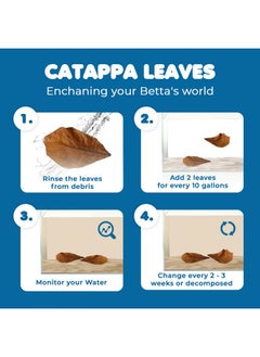 SunGrow SunGrow Betta Leaves, 8”, 10 Pcs Beneficial Large Catappa Indian Almond Leaves for Overall Development in Fish Tank Aquarium, Water Conditioner Leaves Lower pH  - Image 4