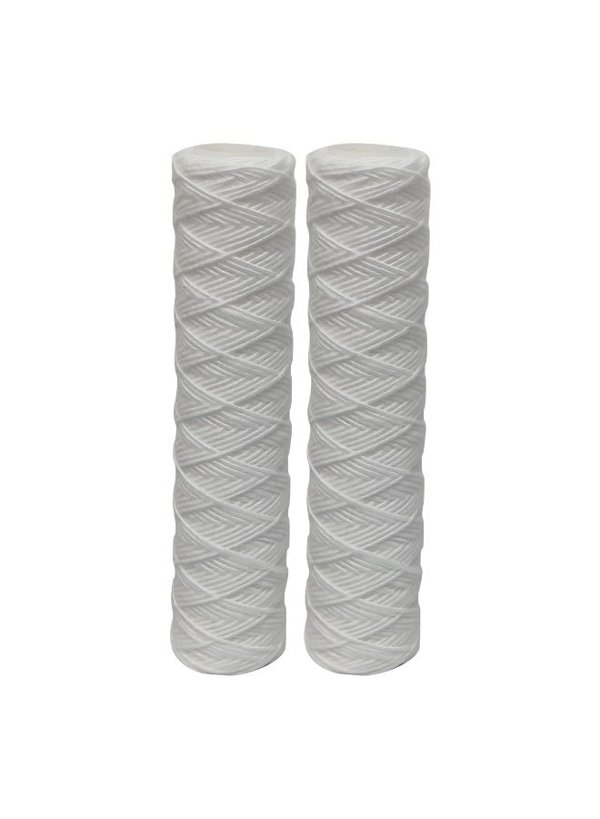 RACO 10 Inches Water Filter Replacement Cartridges for Water Filter/Water Purifier | PP | GAC | UDF | Odor Removal, RO Membrane, Mineral Filter | Pack of (2, GAC) - Image 1