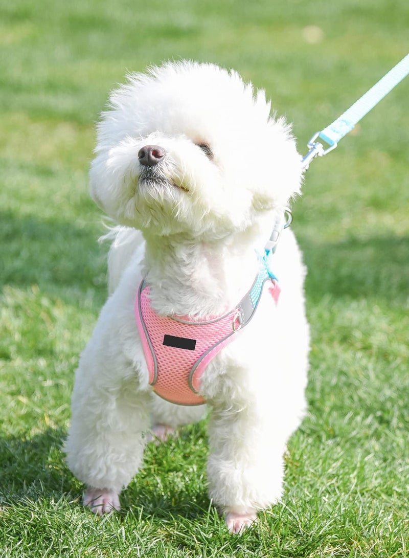 KASTWAVE Dog Harness and Leash Soft Mesh Set for Walking Step in Vest Harness Reflective Bands Adjustable No Pull Pet Supplies for Small Dogs and House Cats - XS - Image 5