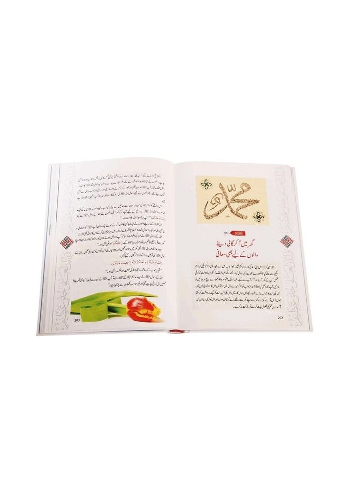 دار السلام - أخلاق نبوي كي سنهري وقيات | سيرة طيبة كه سنهري وقيات | نبوي زنداجي كي روشان بهلو | رحمة العلم كي ديلشاسب وقيات - Image 1