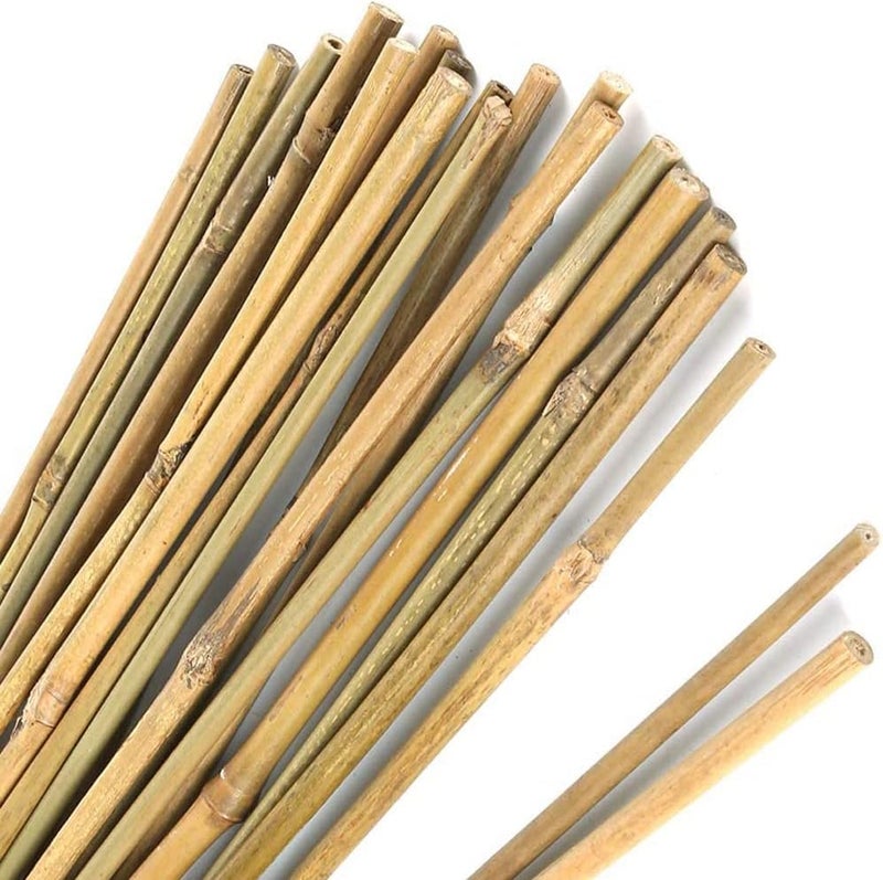 LINGWEI Compact design LINGWEI 2pcs Natural Bamboo Poles - Durable Plant Support Stakes (60cm, 100cm, 120cm) | Strong Gardening Sticks for Indoor & Outdoor Use | Eco-Friendly Bamboo Garden Poles (100cm) KSA market compliant quality - Image 1