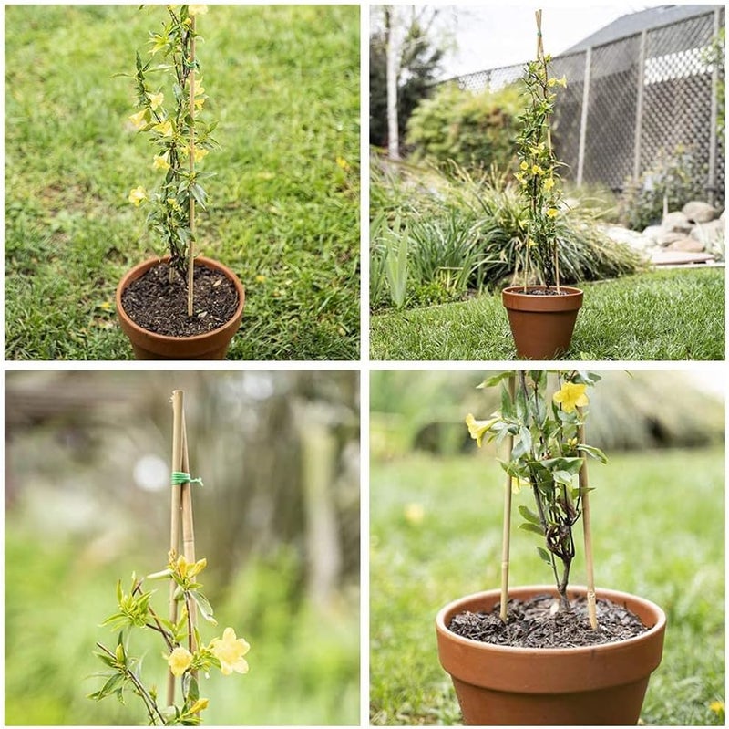 LINGWEI Compact design LINGWEI 2pcs Natural Bamboo Poles - Durable Plant Support Stakes (60cm, 100cm, 120cm) | Strong Gardening Sticks for Indoor & Outdoor Use | Eco-Friendly Bamboo Garden Poles (100cm) KSA market compliant quality - Image 3