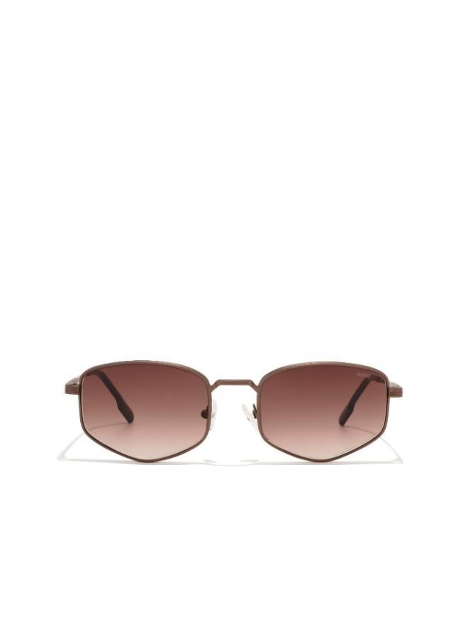 BlackOut HAROLD - Image 3