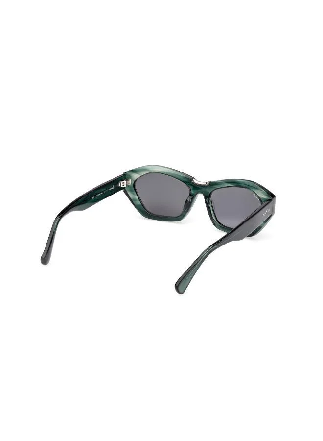 MaxMara  butterfly sunglasses for Women | Best Price UAE