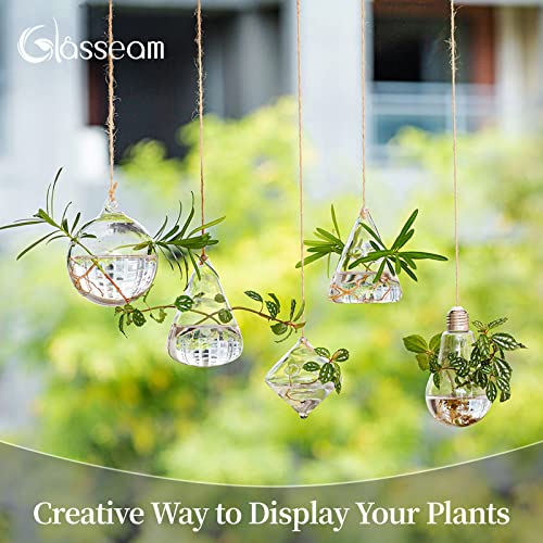 Glasseam Hanging Planters Glass Terrarium: 5Pcs Modern Plant Propagation Stations Hydroponic Wall Vases for Air Plants Flowers Indoor Window Home Decor - Image 3