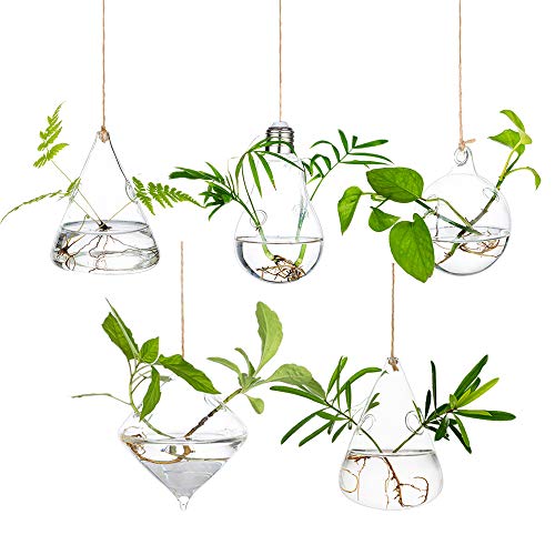 Glasseam Hanging Planters Glass Terrarium: 5Pcs Modern Plant Propagation Stations Hydroponic Wall Vases for Air Plants Flowers Indoor Window Home Decor - Image 1