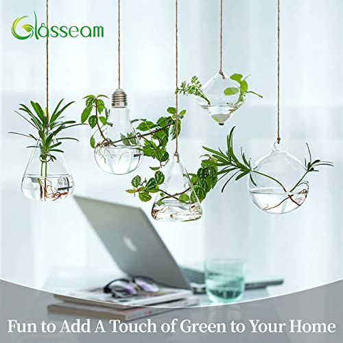 Glasseam Hanging Planters Glass Terrarium: 5Pcs Modern Plant Propagation Stations Hydroponic Wall Vases for Air Plants Flowers Indoor Window Home Decor - Image 2