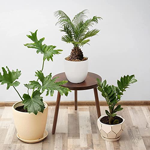 DDS Dream Decor Shoppee Indoor Plant Stand, Mid Century Wood Plant Stand Modern Plant Table, 13.5" Tall Plant Holder for Flower Pots, Small Round Side Table, End Table (Brown) - Image 4