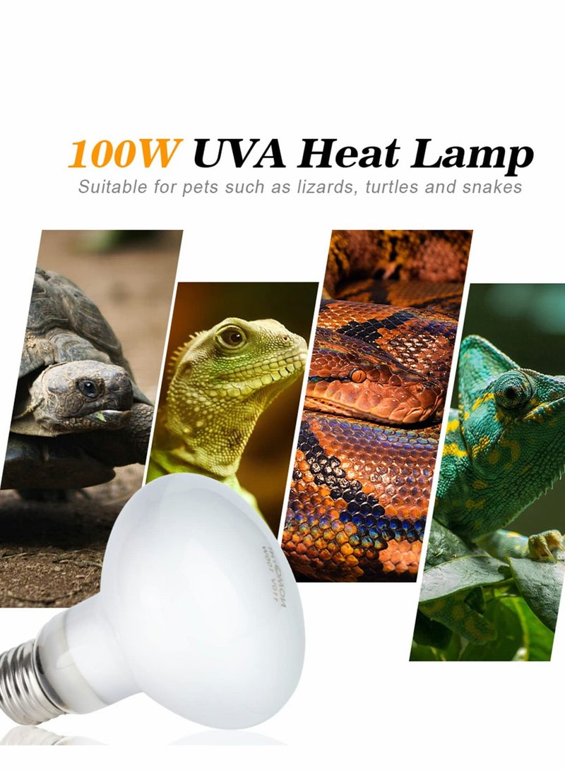 سيوسي Heat Lamp, Basking Bulb for Bearded Dragon, UVA Reptile Heat Lamp Bulbs for Pet/Amphibian, Basking Spot Heat Lamps for Turtle Tank Bearded Dragon, White Daylight Bulb for Lizard/Hedgehogs - Image 4