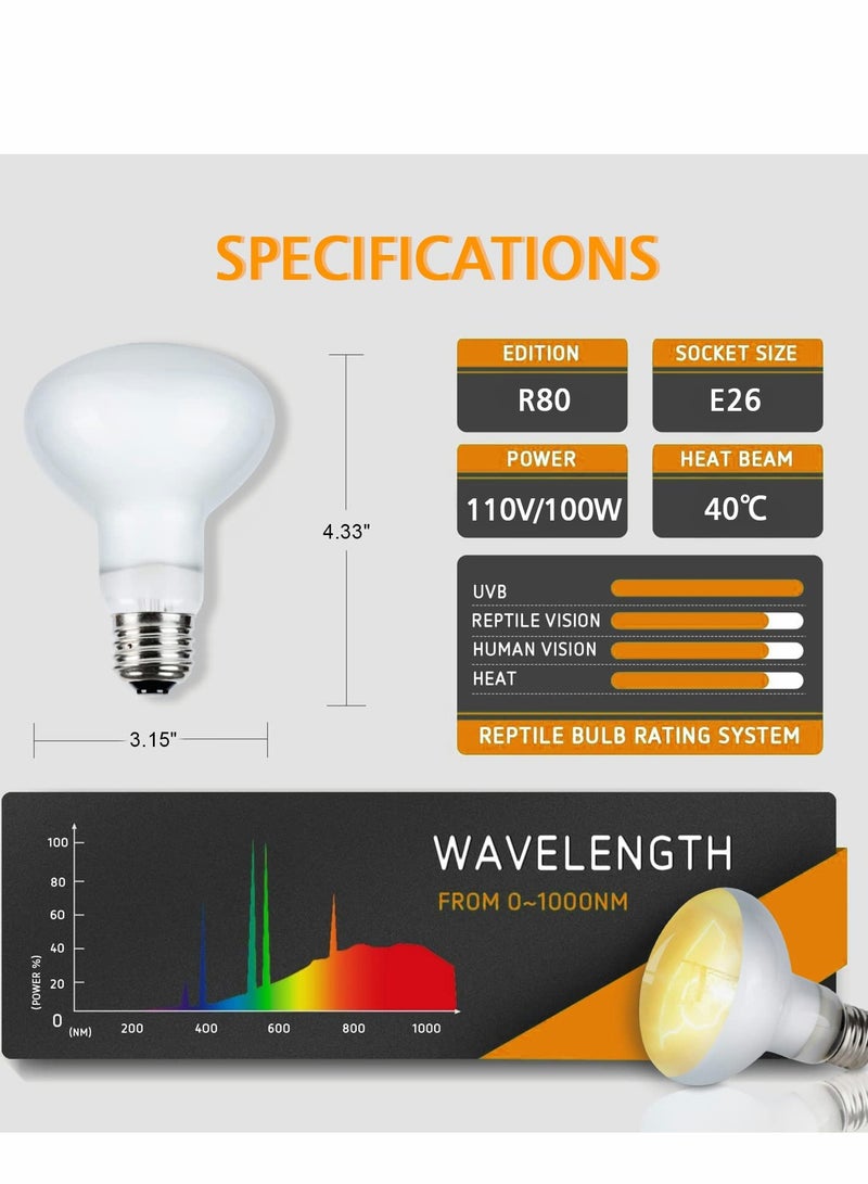 سيوسي Heat Lamp, Basking Bulb for Bearded Dragon, UVA Reptile Heat Lamp Bulbs for Pet/Amphibian, Basking Spot Heat Lamps for Turtle Tank Bearded Dragon, White Daylight Bulb for Lizard/Hedgehogs - Image 2