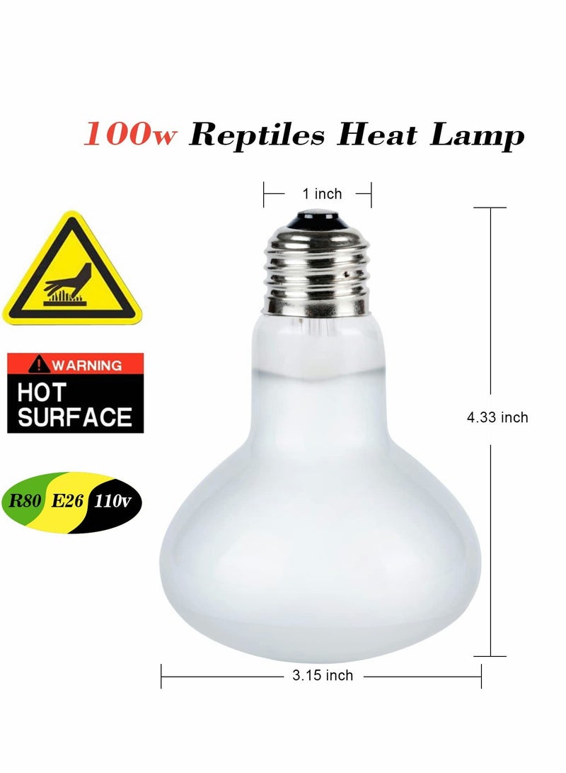سيوسي Heat Lamp, Basking Bulb for Bearded Dragon, UVA Reptile Heat Lamp Bulbs for Pet/Amphibian, Basking Spot Heat Lamps for Turtle Tank Bearded Dragon, White Daylight Bulb for Lizard/Hedgehogs - Image 3