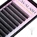 VAVALASH Wshaped Eyelash Extension 5D Premade Fans 007 D Curl Volume Lash Extensions Easy Fanning Lashes Matte Black Volume Premade W LashesW Shaped5D007D11mm - Image 2