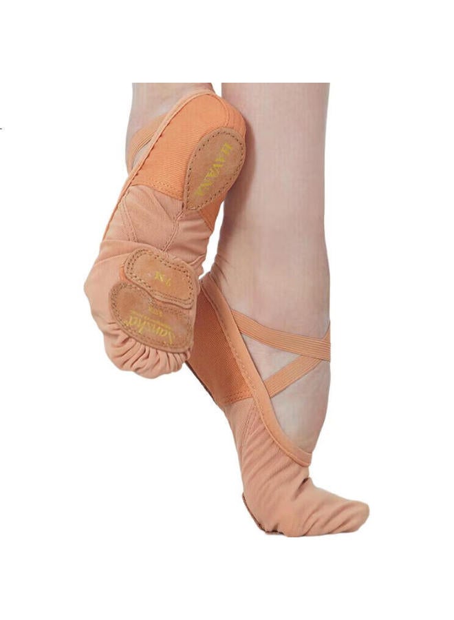 Sansha Adult Ballet Practice Shoes, Elastic Mesh With Leather Sole, Cat Paw Shoes, Dance Soft Shoes, Breathable, 357X, Size 37 - Image 1